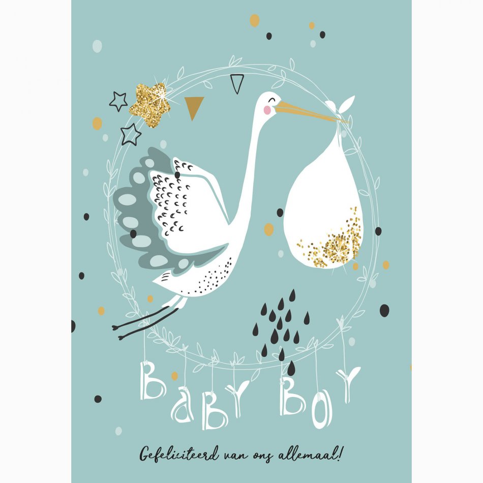 Geboorte Baby Boy - ooievaar