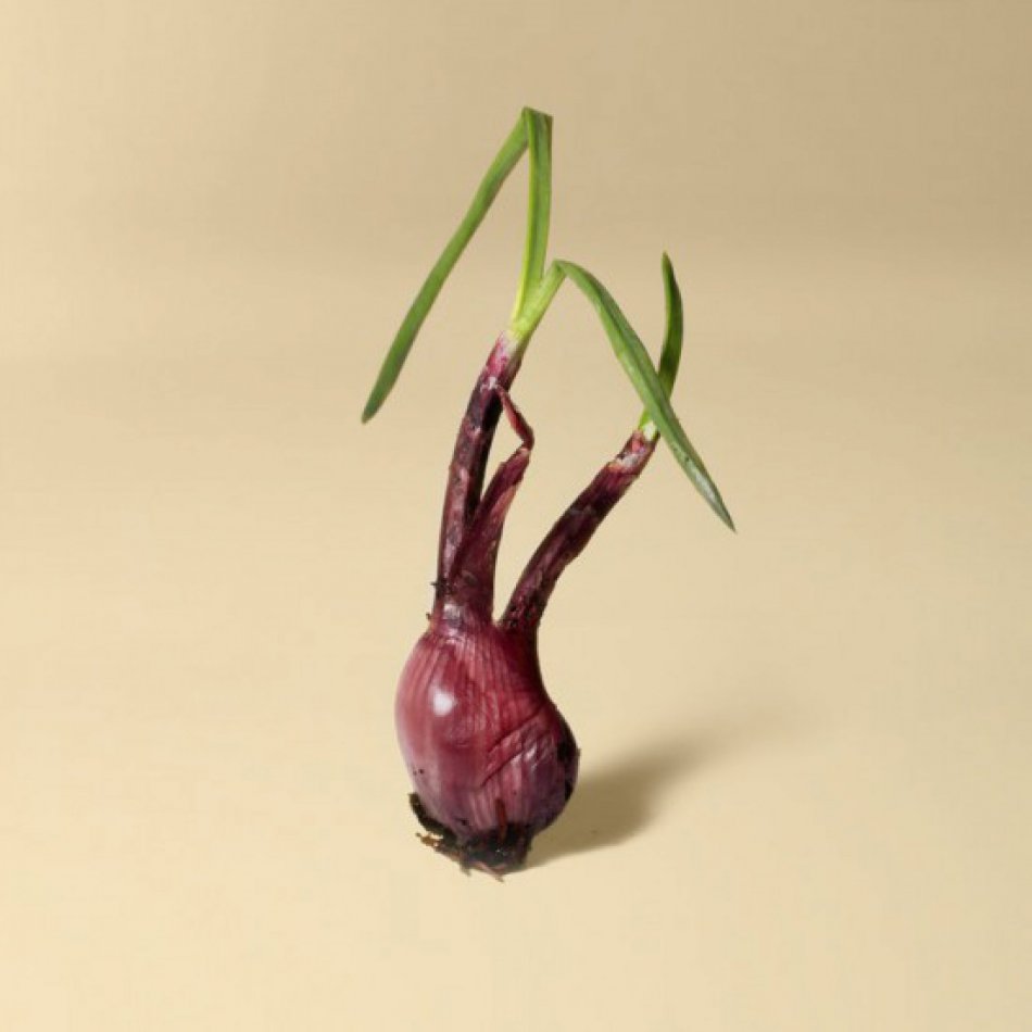 Potverdorie! Uienchutney, 210 ml